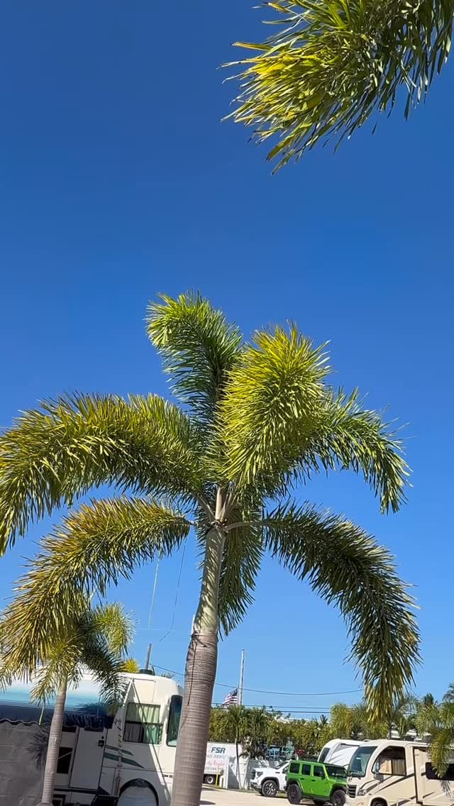 This is your sign to kayak your way to paradise 🌴🚣♂️ Leo’s Campground vibes only.#leoskeywestcampground #keywest #floridakeys #rvlife #keywestvacation