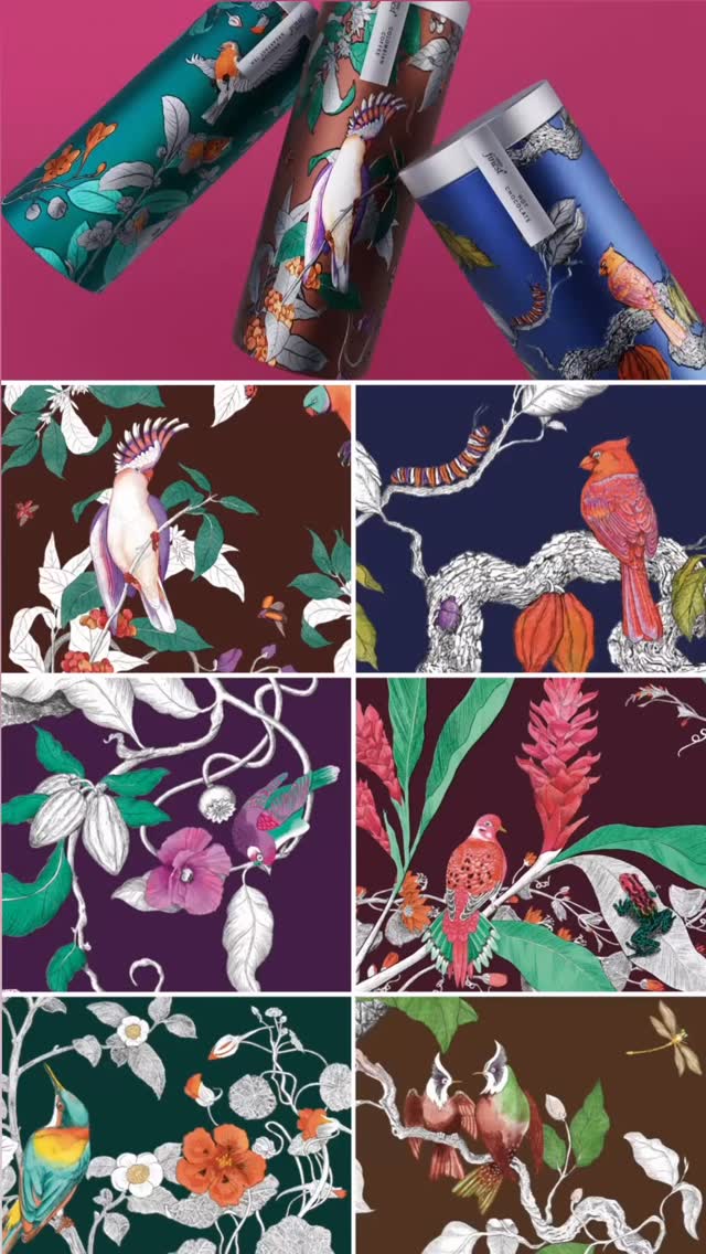 This year I decided to participate in the @worldillustrationawards with 3 entries. Here is the second one: the design of 6 intricate botanical patterns for Tesco Finest biscuit, coffee, tea and hot chocolate tins.
Illustration agency: @brightagencyillustration
Creative agency: @coleyporterbell
Client: @tesco
#worldillustrationawards #worldillustrationawards2025 #aoi #illustrationawards #packagingdesigninspo
