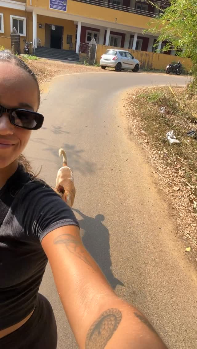 Come get your soulful strut on at ARC!
Needing some exercise? Some light entertainment? Some time in nature?
Come walk the dogs at ARC 🐕🐾
These two charmers are Kevin and Killa 😎
#dogwalking #animalrescue #adoptdontshop #dogsofinstagram #volunteer