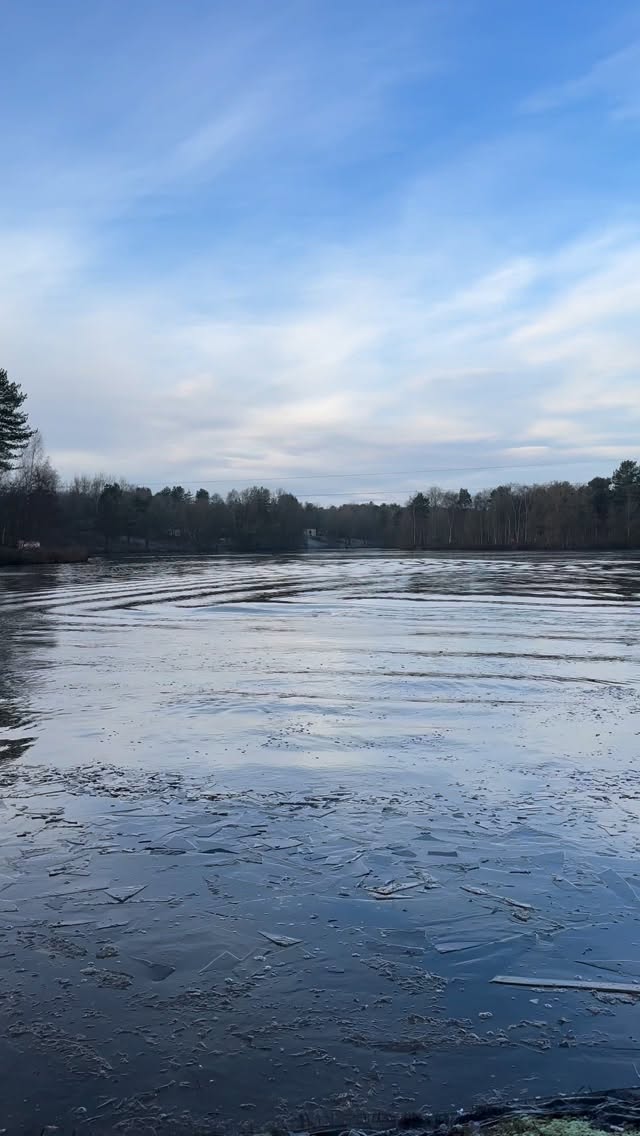 Health doesn’t always come from doing more.
Sometimes it begins with stillness.
#holisticwellness #restandreset #naturetherapy #gentlehealth #lighthousehealth