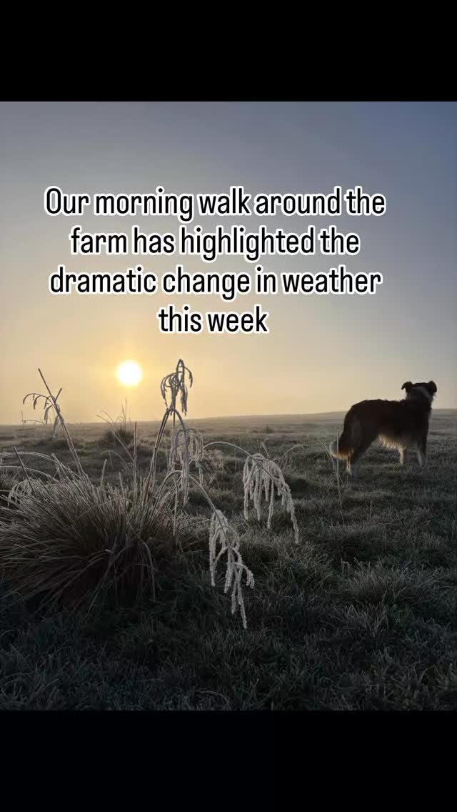 #farmlife #earlymorning #sustainablefarming #outdoorlife #britishcountryside
