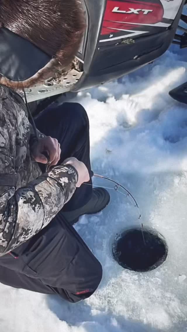 We have 4 lakes we fish and this healthy momma came out of Esker đŁ
â˘
She was safely put back to keep doing what she does best.
â˘
They sure are fun to catch!
#ubiquitylakeoutfitters #northernsaskatchewan #fishcamp #northernpike #flyin