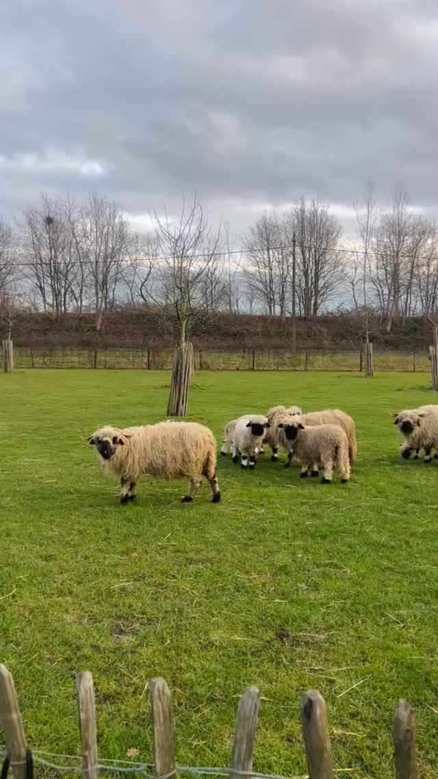 Weekendmodus on ☑️ sezanne to the rescue “sfeerbeheer” 🙌