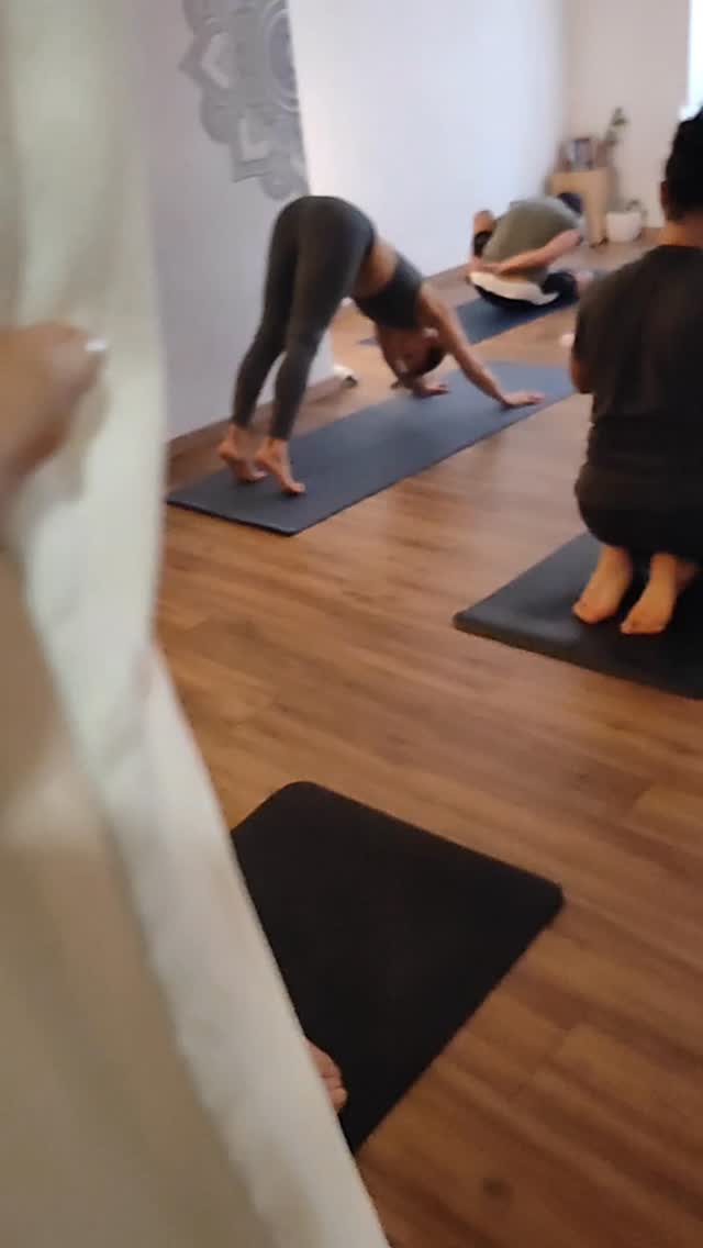 Classi multilivello
Diverse pratiche
Diverse età
Diverse esperienze
Diversi tutti
.
Unici sempre
.
Insieme comunque
.
Creare una vibrazione che sana il cuore e rischiara la mente
.
Ti aspetto a lezione
📍 Ashtanga Shala Sicilia via della libertà 56 Palermo
☎️+39 335 871 6785
#ashtangayogasicilia #ashtangalove #Ashtangi #yogapractice #AshtangaMysore
