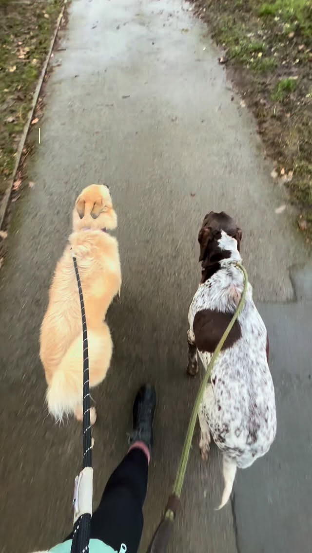 Is there a better place to end your rainy walk? 🌧️
#rivingtonwalks #walksinrivington #chorleypubs #countrypub #pubsinrivington #rivington #yewtreeinn
