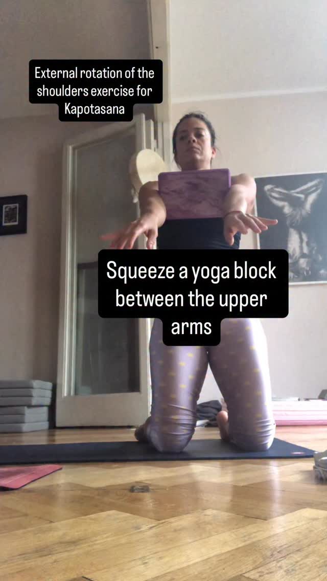 ‼️NOT A TUTORIAL‼️
One time in Mysore I told Sharathji about discomfort in one of my shoulders in Kapotasana. He said: Don’t open your elbows. It was a bit hard to change the pattern but when I managed to keep both shoulders externally rotated in and out of the position, I didn’t have discomfort there anymore.
Here is a little challenge for Kapotasana practitioners. Get a block, squeeze in and don’t let the block fall out 🙌
Next weekend in Katowice I’m teaching two Mysore classes, one led and two workshops! @ashtangayogakatowice
Come to practice ‼️♥️
#kapotasana #ashtangayoga #ashtangayogakatowice #jogakatowice #ashtanga