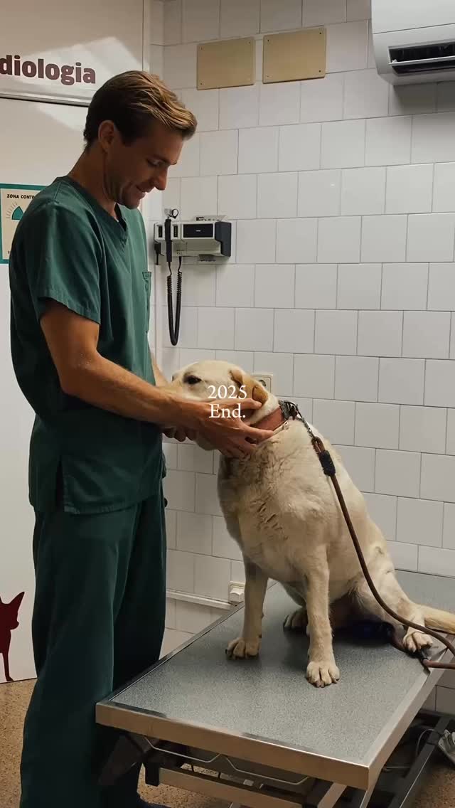 Avui som 16 de Gener ja ben entrat l'any nou🎉.
Us demanem perdó 🙏🏼 ja que feia dies que no apareixiem per aquí 📸 degut a un començament d'any ple de jornades intenses de feina 🙌🏼 però no voliem deixar passar l'oportunitat d'aturar-nos un moment i acomiadar com cal aquest any 2025🩵.
Un any ple d'emocions! Tant d'arribades de nous 🐶🐱 com també de dolorosos comiats al vostre costat. Recordant amb estima tots aquells que ja no hi són, però que han format part del nostre dia a dia durant tant de temps com un més de la família ❤️.
Des del Bestiari, de part de tots i cada un de nosaltres us volem donar les gràcies de tot cor per la confiança que ens heu donat i ens seguiu donant per tenir cura de la salut dels vostres animals.
Ens fa molt feliços poder seguir ajudant-vos, dia rere dia i us desitgem un molt bon 2026 a tots ple de salut i alegria😘