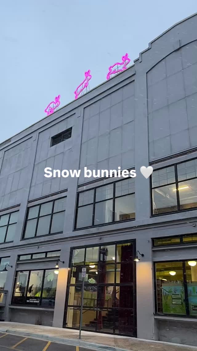 Don’t our rooftop rabbits look so lovely in the snow?