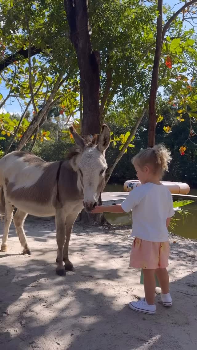 When children spend time with animals, they learn empathy, patience, and presence.
#animallove #forestbathing #outdoorfun
