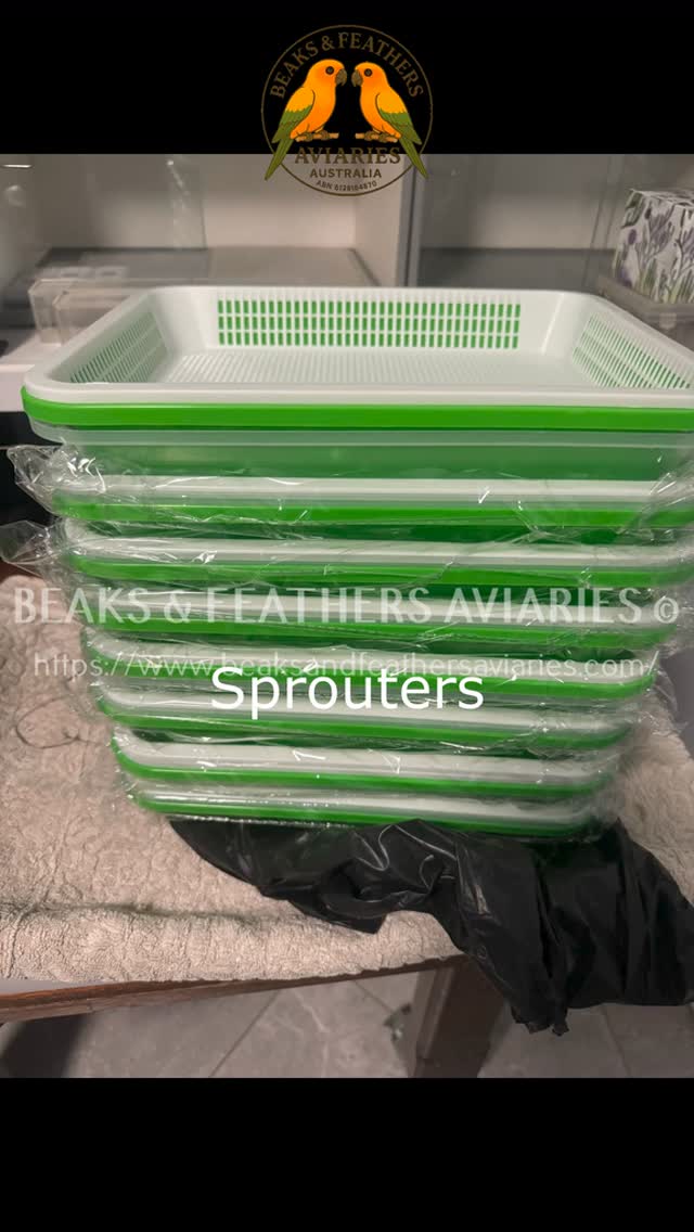 Science has shown us what happens to a seed as it begins to transform into a plant… and we can take advantage of that process to provide our birds with valuable nutrients they can NOT get from cooked or commercially processed food like in pelleted diets!
Avian Medicine, third edition.
Dr James Samour, MVZ (Hons), PhD, Dipl ECZM (Avian)
Basic Principles of Optimal Nutrition
FEEDING BIRDS IN CAPTIVITY
Among captive birds, formulations are often used for adult Psittaciformes, whose natural diets may consist of fruit, nuts/seeds, invertebrates, flowers, tender leaves, and, in some cases, nectar. Not surprisingly, formulated diets are far from optimal for these birds. Soy is poorly digested by birds (Parsons et al., 1981 & Elliston and Perlman,2002), and grain is a nutrient-poor dietary base for species that did not evolve to eat it (Cordain, 1999 & Dewey, 2013). Pelleted diets for parrots have startlingly low bioavailability: only 50% of their protein is absorbed (Kalmar et al., 2007) compared with |85% in naturalistic foods (Sales et al., 2004).
https://www.beaksandfeathersaviaries.com/sprouts
#sprouts #sproutsforparrots #sproutingforparrots #bestbirdfood #BestBirdFoodEver