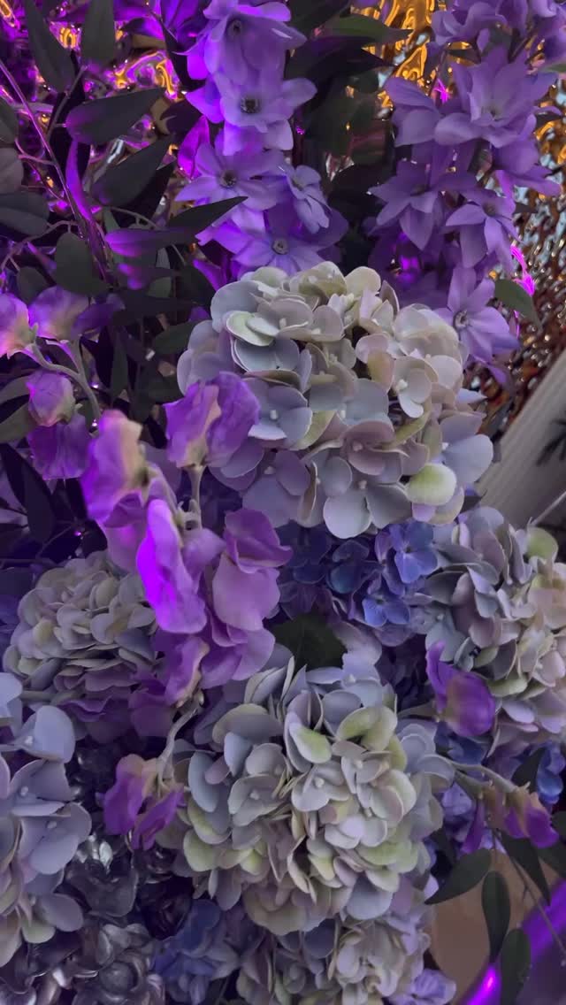 Magic Millions @ The Star GC 2026
We were commissioned by the team @thestargoldcoast to bring their Magic Millions Carnival creative to life for this year’s primary photo op wall.
With shimmering metallics, luxurious draping and giant floral arrangements, the activation provided a striking backdrop for the casino’s customers to get a snap against between races and events.
🩶💜🩶
#goldcoastevents #magicmillions #activation #creativetheming