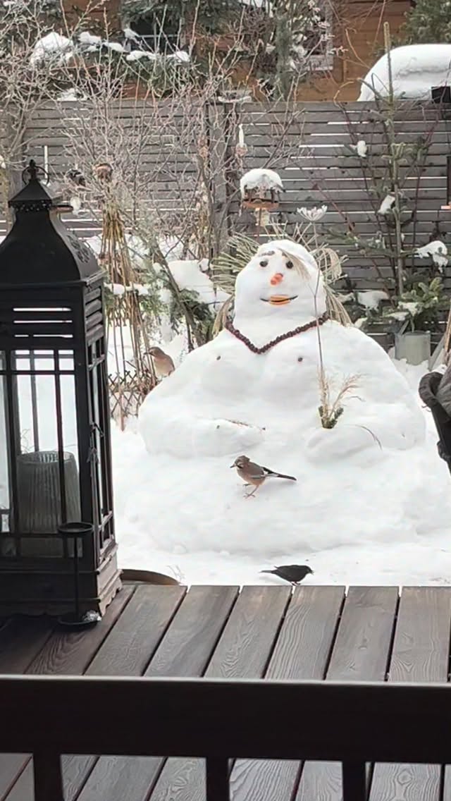 Schnee-Lady bekommt viel Besuch 🤍
Eichelhäher, Amsel und Meisen fressen ihr sozusagen aus der Hand 🥰
Welche Vögel könnt ihr in euren Umfeld so beobachten?
Habt ein schönes Wochenende 🤍.
Alles Liebe, eure Meli mint
#vogel #wildvögel #vogelbeobachtung #eichelhäher #amsel #meise #garten #gartenliebe #vogelhäuschen #schneemann #schneefrau #love #winter #austria