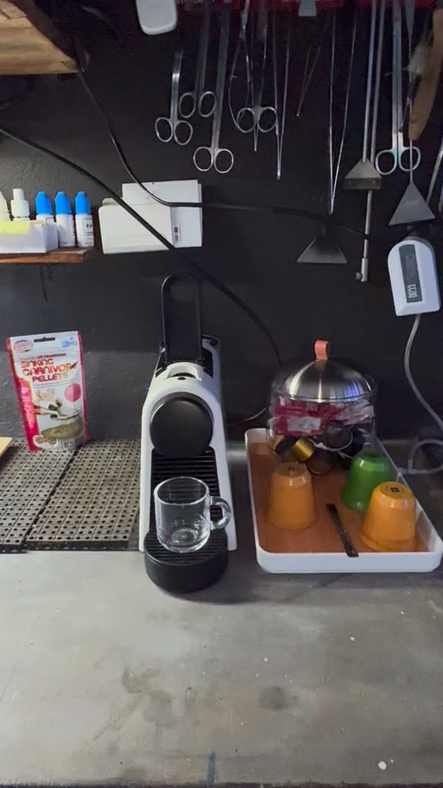 Coffe + Fish Tank ?
Come and Try.
#aquascaping #plantedtank #aquariumhobby #coffee #petcafe