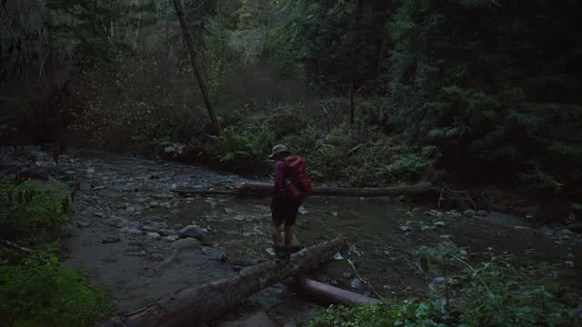 Day hike in Santa Cruz
#cinematic #hiking #california