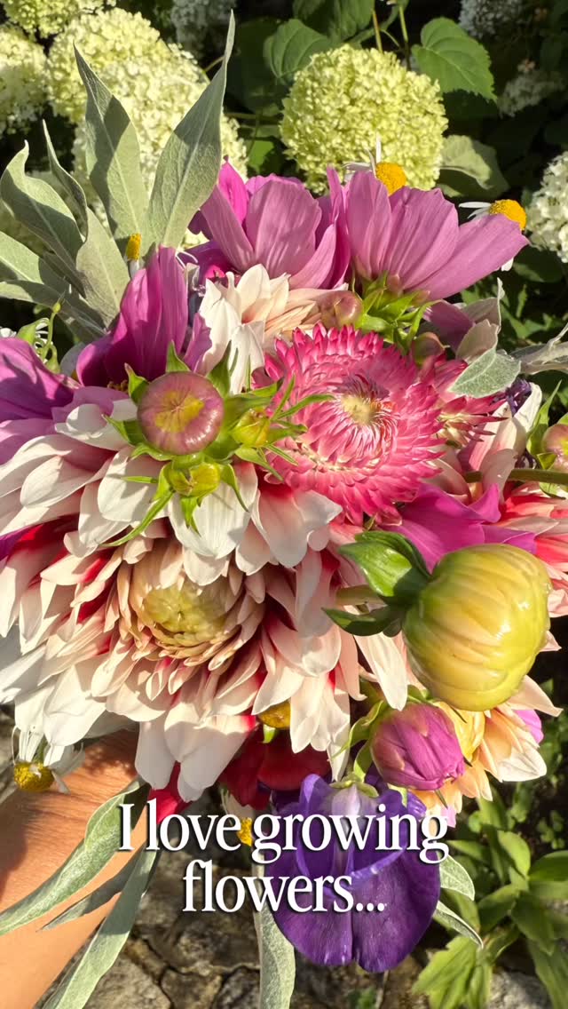 Every bloom begins unseen.
Quiet tending. Patient care.
A new season is being grown — coming soon.
**SPOILER ALERT: it’s not a podcast about Flowers (although I can’t promise there won’t be mention 😉)