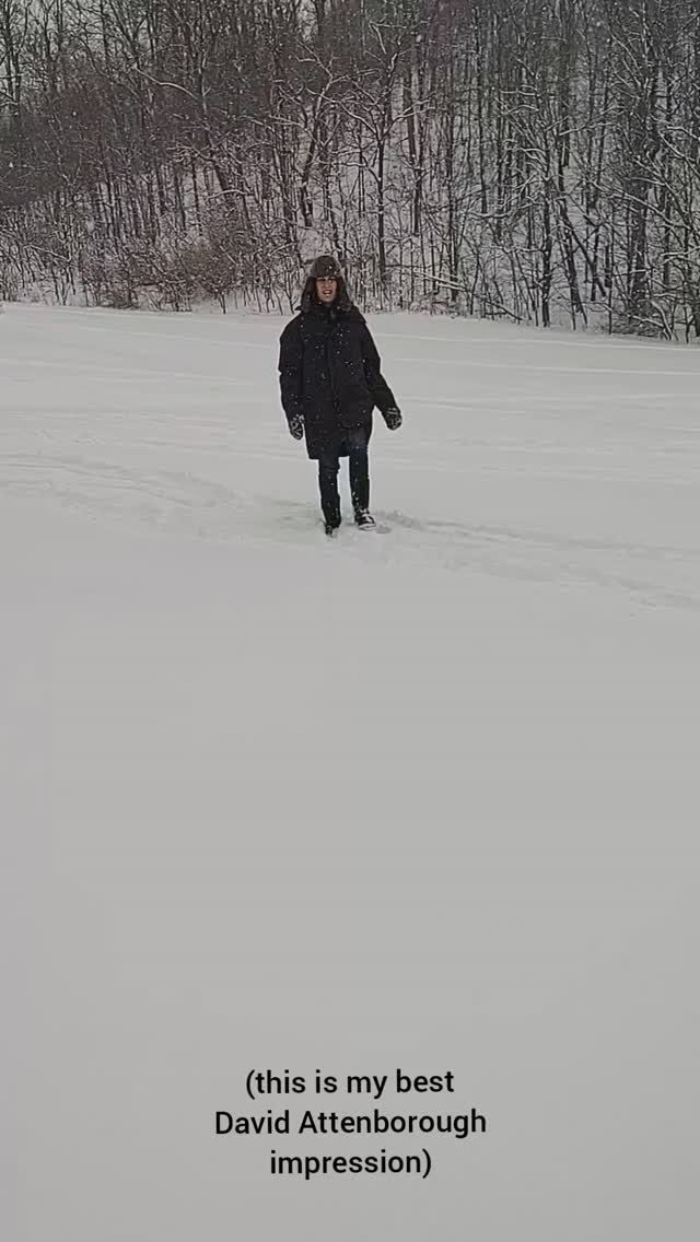 People. We know what time of year it is... It's BACK Y'ALL.
FLORA'S WALK! Time to band together again in support of the parents of our community and raise some funds for free perinatal services RIGHT IN YOUR VERY NEIGHBORHOOD!! 🩵💚
LET'S DO IT, HAMMERTOWN 🔨
LINK IS IN MY BIO!!!
(🙏 many thanks to my 12 year old for recording this absurd video🙏 he got a very fancy hot chocolate out of the deal)