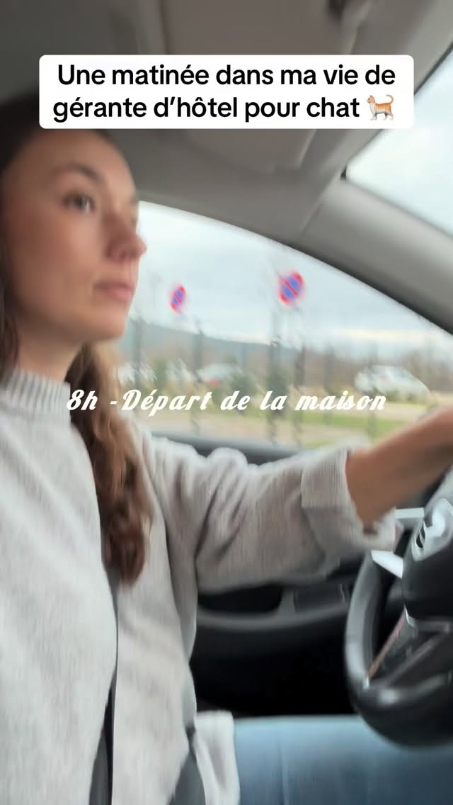 Un aperçu de mes matinées à l’hôtel 🐈
#pensionpourchats #hotelpourchats #hotelpourchat #cat #cats_of_instagram