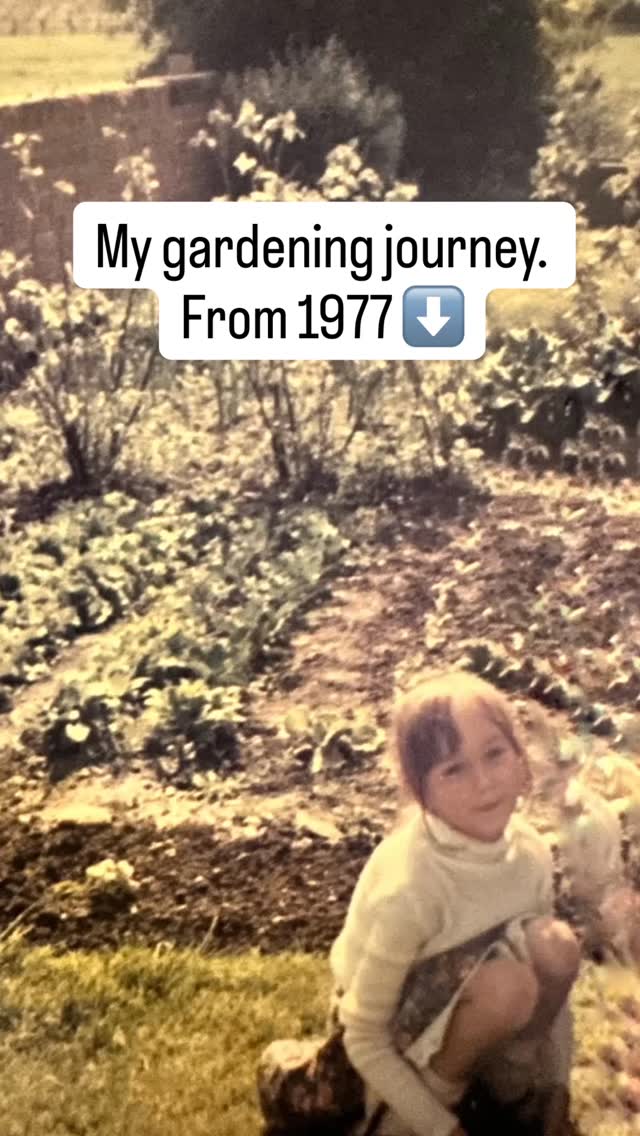 A bit about meā¦
I started my gardening journey with my mum when I was about 4 years old. We had an allotment plot but she also grew sweet peas. I will never forget the scent and to this day they are my favourite smelling flowers.
We got chickens when I was a teenager. Another thing that I loved from my childhood, and wanted to have myself when space permitted.
At 21 instead of going out clubbing, I bought a greenhouse where I learned to propagate plants. Something that still fascinates me now and I love doing.
After covid paused my photography business, I decided to start my own gardening business. Itās probably something I should have done years ago!
Country cottage borders has now been going 4 years. I donāt have an RHS qualification, itās something I never got round to doing. But I have nearly 50 years of gardening experience.
Next month Iāve been asked to do my first talk. My imposter syndrome is real⦠but I also canāt wait to share my gardening experiences with others!
Whatās your take on qualification over experience? Someone once told me they would rather take on someone with experience, than someone who has the qualification. Iām keen to know your thoughts, let me know in the comments ā¬ļø #gardeninglife #myjourney #gardenersofinstagram
