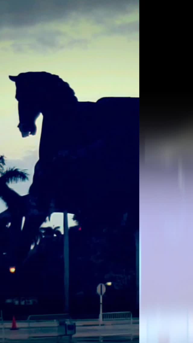 So lucky to have a friend like Bob Aaron to capture some great images of our horses and humans at work at Gulfstream!