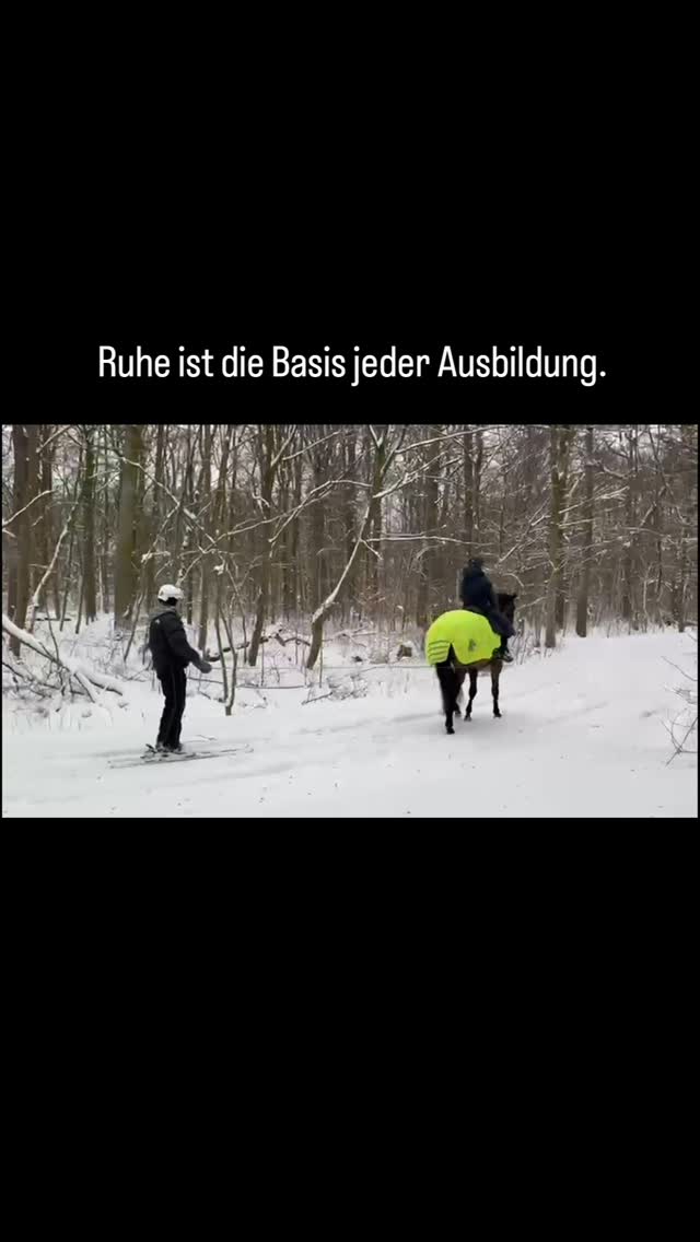 Ausbildung unserer Verkaufspferde bedeutet für uns mehr
als Reiten auf dem Platz.
Abwechslung, neue Reize und klar strukturierte Aufgaben
fördern Gelassenheit, Vertrauen und Verlässlichkeit –
Eigenschaften, die im Freizeit- und Alltagsbereich entscheidend sind.
Genau darauf legen wir in unserer Arbeit großen Wert.
#maresilange
#verkaufspferde
#pferdeverkauf
#pferdeausbildung
#ausbildungspferd
#freizeitpferd
#alltagstauglich
#gelassenespferd
#pferdemitnerven
#ruhigeausbildung
#verlaesslichkeit
#niedersachsen
#hannover
#braunschweig