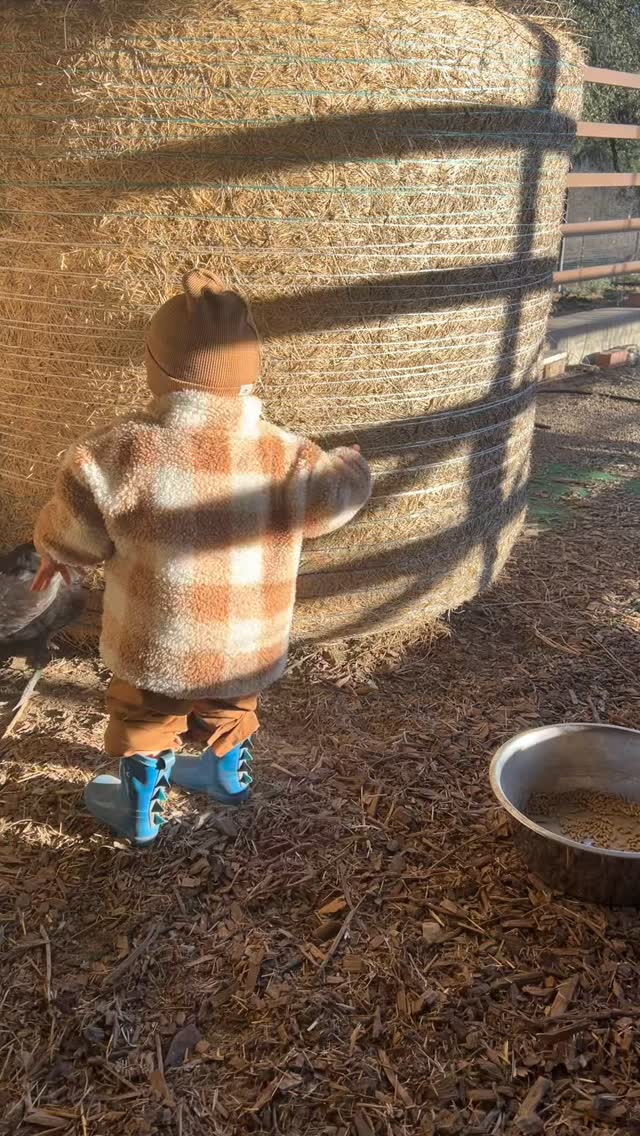 The smile at the end 🥰 he loves feeding the chickens