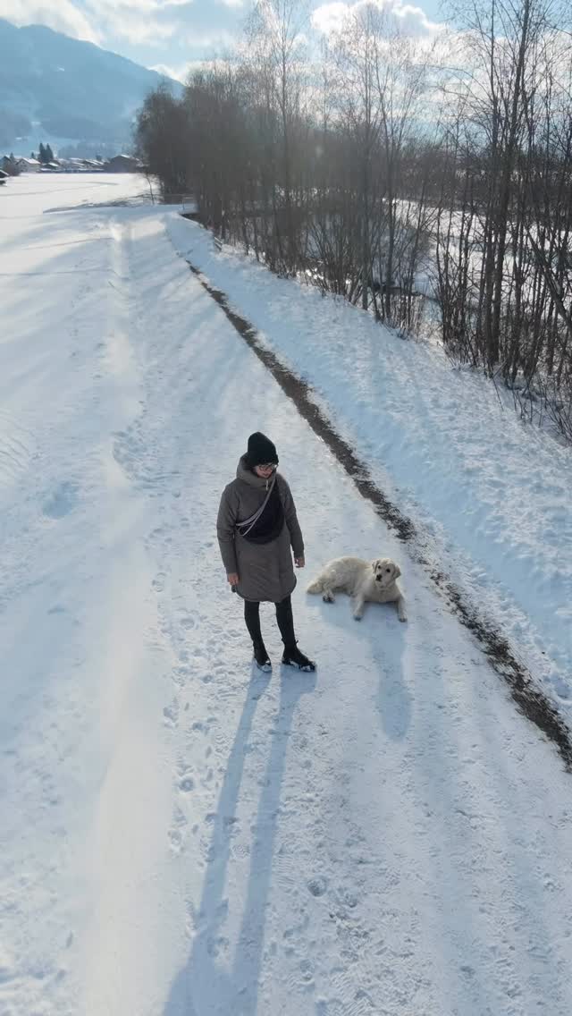kleine Interaktionen für große Freuden am Spaziergang 🌟
Gemeinsame Interaktionen bewirken so einiges. Sie fördern die Orientierung und Aufmerksamkeit am Menschen und stärken die Bindung. Positive Emotionen reduzieren Stress, wodurch auch unerwünschtem Verhalten vorgebeugt werden kann.
In diesem Fall wären die Enten im Fluss eigentlich gerne inspiziert worden (siehe Blick vom Hund), die Interaktion mit dem Halter ist jedoch mittlerweile hochwertiger eingestuft und er hat es geschafft, den Blickkontakt zum Menschen zurück zu bringen- somit konnte dem unerwünschten Verhalten vorgebeugt werden.
Spaziergänge sind etwas gemeinsames. Kein Alleingang. 🤍🐾
#stjohannintirol #tierschutzqualifiziert #bindungstärken #hundetraining #hundeerziehung