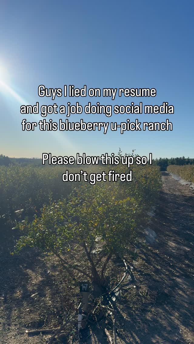 Please blow this up 😭…just don’t blow up our bathrooms
Idea from @littleindiagrocers
Wedding photo by @lisaleannephotography
( pick your own berries, Ventura county farming, farm life, social media job, I lied, funny, Los Angeles, millennial content creator, things to do with kids) #fyppp #humor #genz