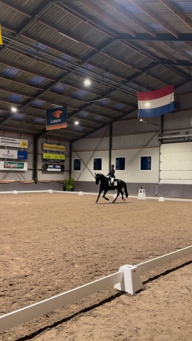 ✨ Limburgs kampioen L2 ✨
Samen met Royal 2B een heel mooi seizoen achter de rug en dit mogen afsluiten met de titel én een super percentage van 74,3% 🏆
Hij was zó fijn te rijden en gaf me een geweldig gevoel van begin tot eind!
Het gevoel dat hij mij geeft is onbeschrijfelijk 🥰
Ontzettend dankbaar voor zo’n speciaal paard 🤍
@stal.tychon
@diederik_wigmans