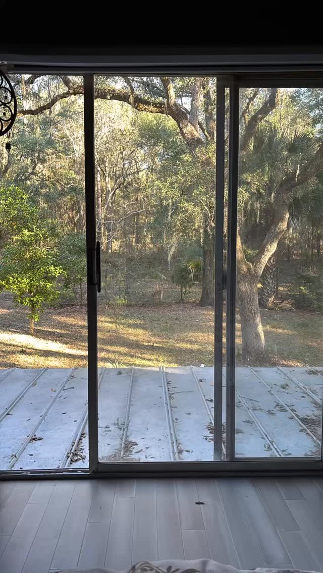 Love them.
#Living #weekendtrip #gratitude #lovethem #cold