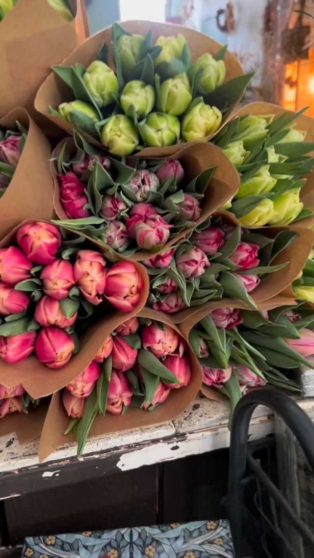 Nu är vi ju mitt i tulpan-säsongen och det finns såå många fina sorter att välja mellan! Här kommer några enkla tips för hur de står sig som bäst 🌷 Det cirkulerar en del husmorsknep men med kallt och rent vatten i ett svalare läge kommer man långt 🌷🙌