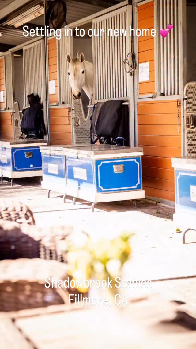 So wonderful to be home, and the horses are so happy here ❤️🐴
Thanks @gigs_creative for the beautiful pics