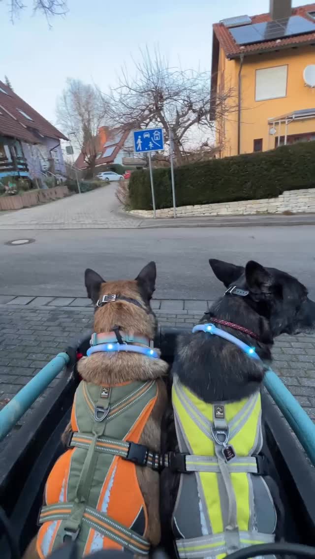 Ich mag diese Runden am Abend mit den beiden 🐕🦺🦮 Sie zufrieden zu sehen, bereitet auch mir Freude. Frische Luft atmen 🧘 und runterkommen ☺️