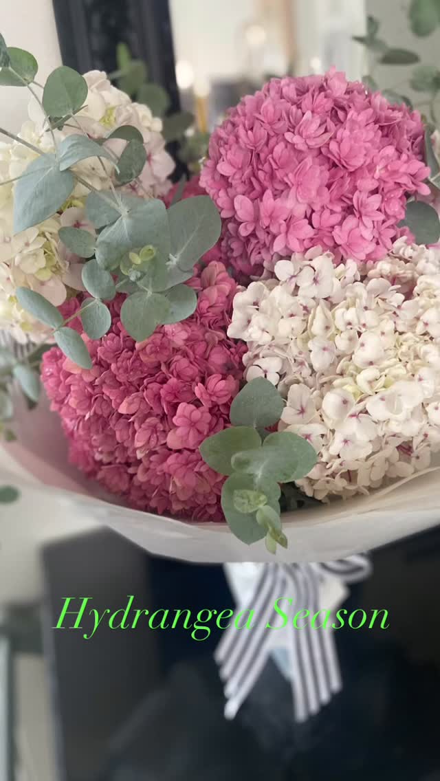 You know it’s summer when the hydrangeas are blooming! Those big beautiful heads look fabulous in a vase. If you’d like some for your home, order online at https://www.thecuriousrabbitflowershop.com.au #balmainflorist #rozelleflorist #leichhardtflorist #gladesvilleflorist #drummoyneflorist #sayitwithflowers #haberfieldflorist #annandaleflorist #thecuriousrabbitflowershop #sydneyflorist #hydrangeaseason