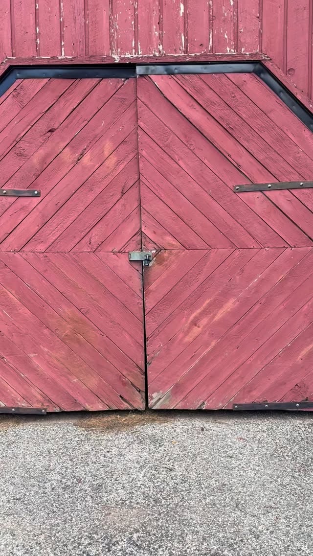 Winter at the orchard 🍎
#HickoryHillOrchard
#WinterAtTheOrchard
#NewEnglandWinter
#QuietSeason
#FarmInWinter
