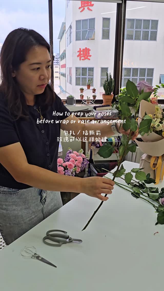 Before wrapping or arranging,
roses should always be properly prepped.
1️⃣ Remove leaves
2️⃣ Remove thorns (small on top, larger below)
3️⃣ Remove guard & botrytis petals
This is basic florist training, interested in floral workshop?
Dm / wa us at 85717679 for more information.
#花艺教学 #玫瑰处理 #花艺技巧 #鲜花保养
#rosesprep floraleducation flowercare floristtips