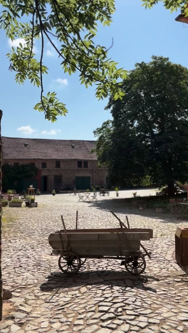 Nicht mehr lange ☀️🪻
#landliebe #bauernhof #hofleben #lebenaufdemland #hofladen