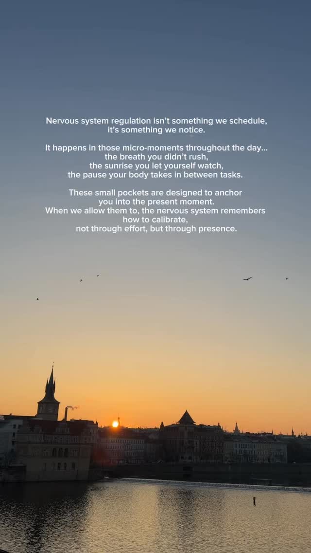 If you’re feeling dysregulated, you don’t need to fix yourself.
You might just need to notice what’s already here… a breath, a pause, the suns energy.
I’ve felt so deregulated lately as life has been so busy, but this trip has reminded me to simply notice. This tiny shift from rushing to noticing changes your entire state. Your nervous system knows it’s way back when we give it the chance 💫🌙✨