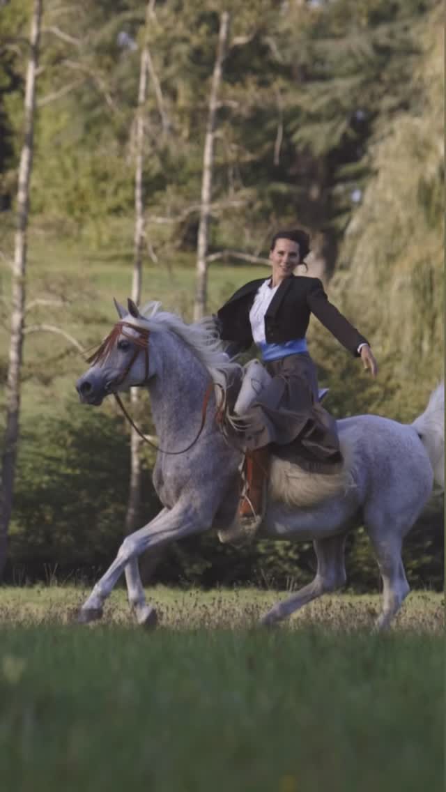 You are in the right place, sophisticated equestrian. 🤍