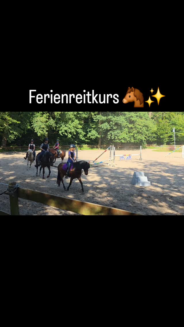 🐴✨ Ferienreitkurs – jetzt noch freie Plätze!
Reiten, Natur, Ponys & ganz viel Spaß 🧡
In unseren Ferienreitkursen erleben Kinder unvergessliche Tage mit unseren lieben Ponys – auf dem Reitplatz & im Gelände.
📅 Termin: 24.3. - 27.3.25
👧🧒 Für Kinder und Jugendliche ab 6 Jahren
👉 Anmeldung & Infos per DM 📩
Termine auch in den Sommer- und Herbstferien