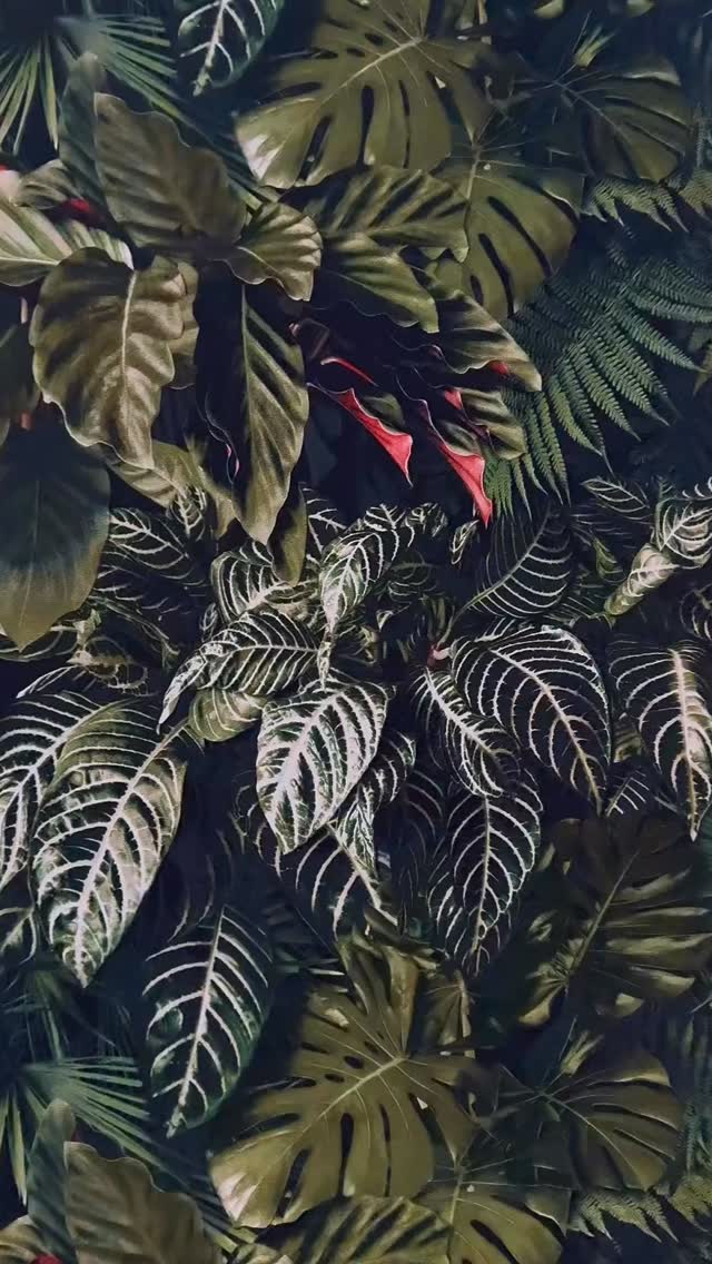 Quelque chose se prépare…
#mercimadamemonsieur #maison #maisonMerciMadameMonsieur #mmm #ouverture #conceptstores #rouen