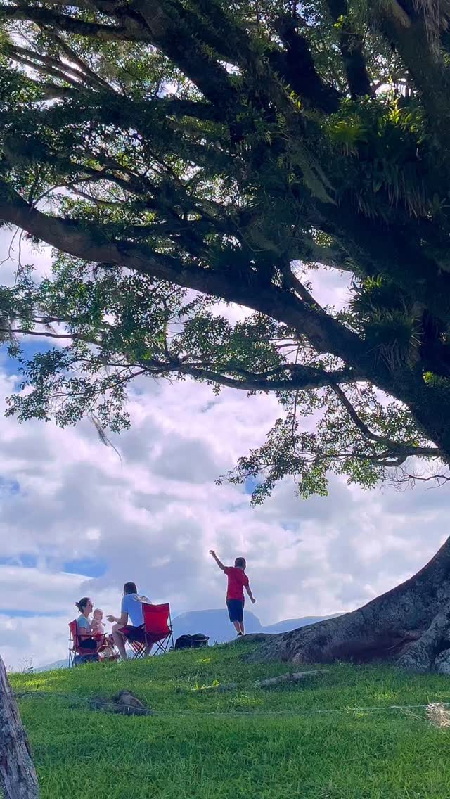 Se desligar do cotidiano e se conectar, são os maiores motivos de visitarmos a árvore da vida. Um passeio especial para momentos especiais!
#canyonsdosul #ecoturismo #santacatarina #aparadosdaserra #travel