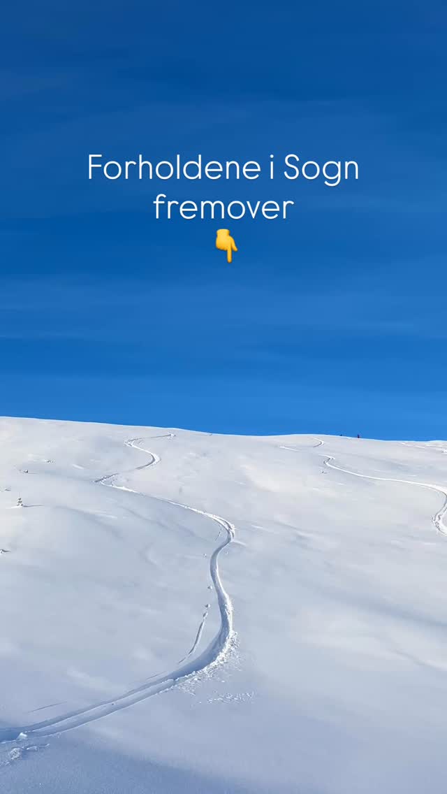 Sånn ser det ut til å bli i Sogn fremover☀️
Lavtrykk, sol, lite vind og kalde temperaturer. Forholdene ser ut til å vare og vi har ledige guider. Ta kontakt om du vil ha guide for å finne den gode, tryggeste skikjøring i myk snø og bra skiterreng ⛷️
#skivegleder #topptur #backcontryskiing #sogndal #skitouring