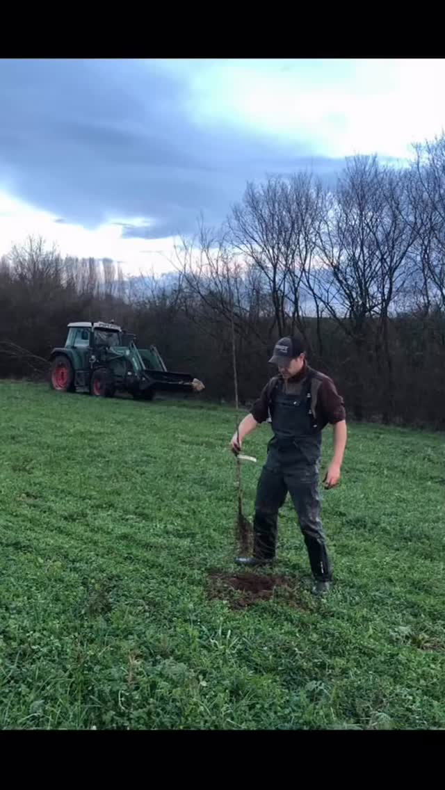 Grâce à une forte demande pour notre jus de pomme, place à l’action avec de nouvelles plantations, accompagné d’Anatole l’aigrette pique bœuf.
🌳 2,5 hectares de pré-verger
🍎 175 pommiers de variétés anciennes
🌱 Plus de 30 variétés différentes, à jus et à croquer
L’agroforesterie est au cœur du projet. Durant la saison hivernale, cette nouvelle mise en œuvre nous permet de concrétiser et poursuivre nos engagements 🙏🏼