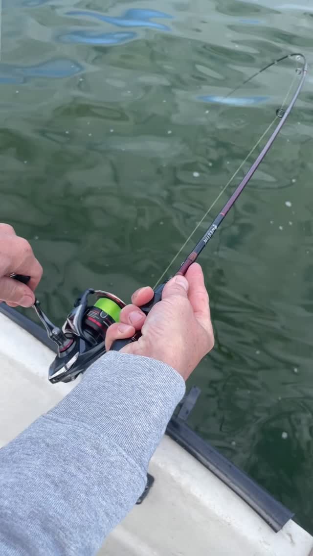 Buckle up and get ready for the chase! BIG Zanders are waiting 🤙 New batch of hoodies on the way to be shipped. Check out or webshop for more!
#fishingguidenetherlands #catchandrelease #zander #walleye #angeln