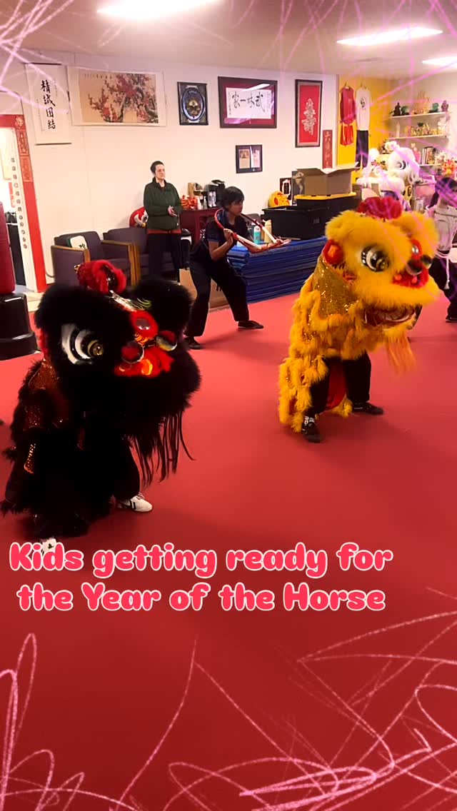 Our kids (7 and 9) are sharpening their Lion Dance skills to perform throughout the Year of the Horse celebrations. Starting on 2/7 you’ll see them, and our other youth members, celebrating the new year with their dance and music skills! Check them out! Visit our website to view our performances line up! #liondance #kids #yearofthehorse2026 #madisonwi #zykfa