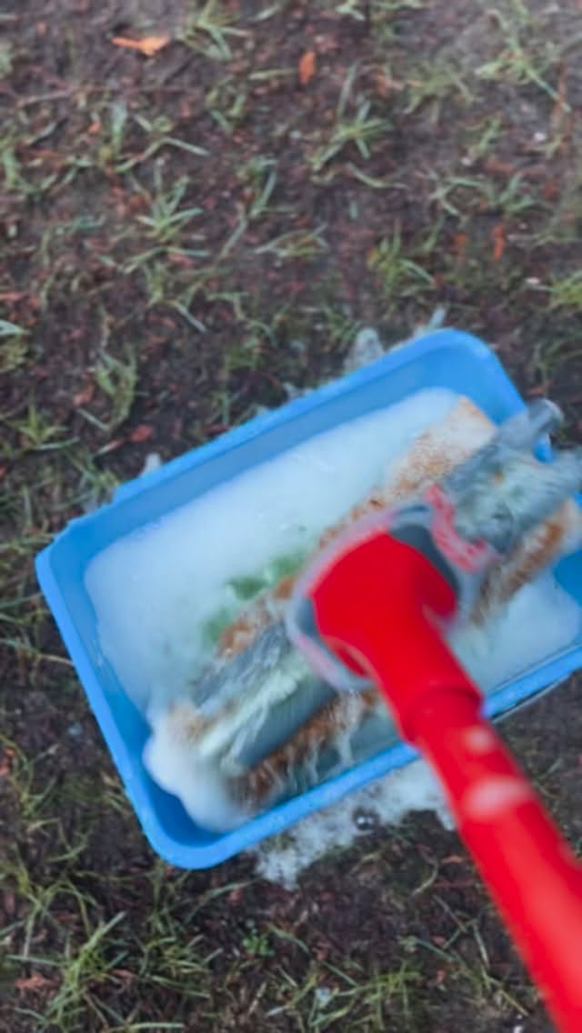 A normal week here. Clean spaces, happy bunnies, and a whole lot of care that goes into the parts you don’t always see. Raising bunnies is a daily commitment - and a joy we don’t take for granted.
.
.
.
Follow for real rabbitry life.
.
#hollandlop #petbunny #familyrun #southsurreybc #rabbitrylife