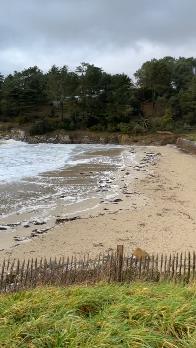 #finisteresud 20/01/26