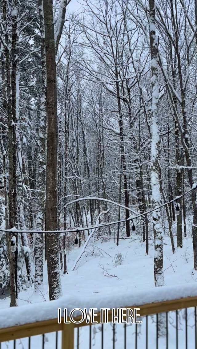 Fresh snow turns our house into a very magical winter wonderland. I love it. ❄️
#snowmuchfun #snowstorms #winterwonderland❄️ #snowglobe #interiorhome #newhampshireliving #nhseacoast