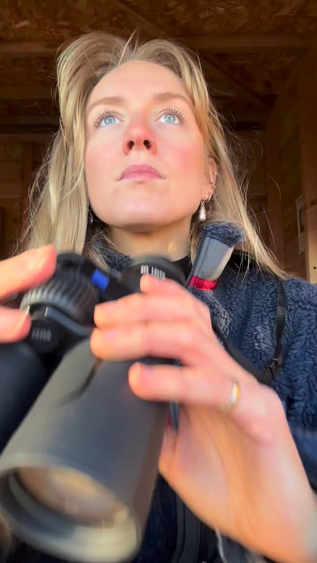 Convinced my brothers to try birding with me! 🦆🦆👀👀
#zeiss #zeisssfl50 #birding #brothers