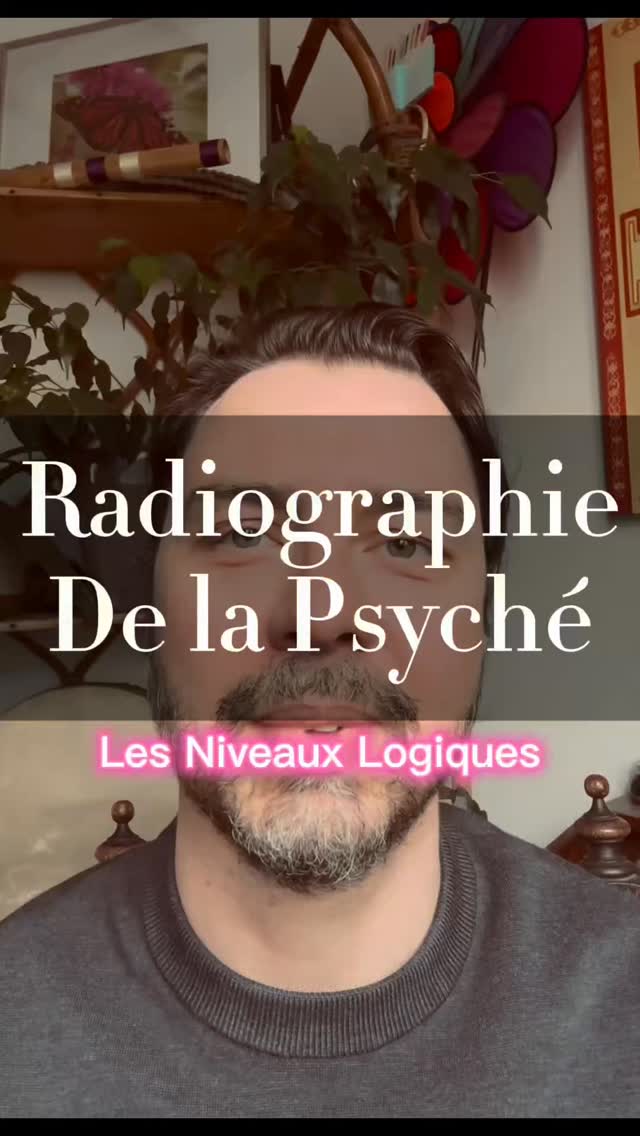 La cartographie de la psyché… les niveaux logiques de la PNL.